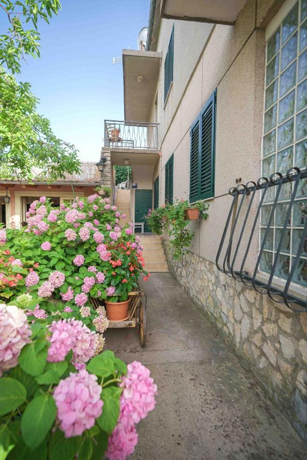 Apartments Micin Vodice Luaran gambar